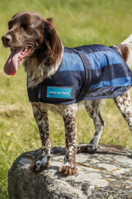Back On Track, Cool on Track Cooling Dog Blanket 2.0, Blue